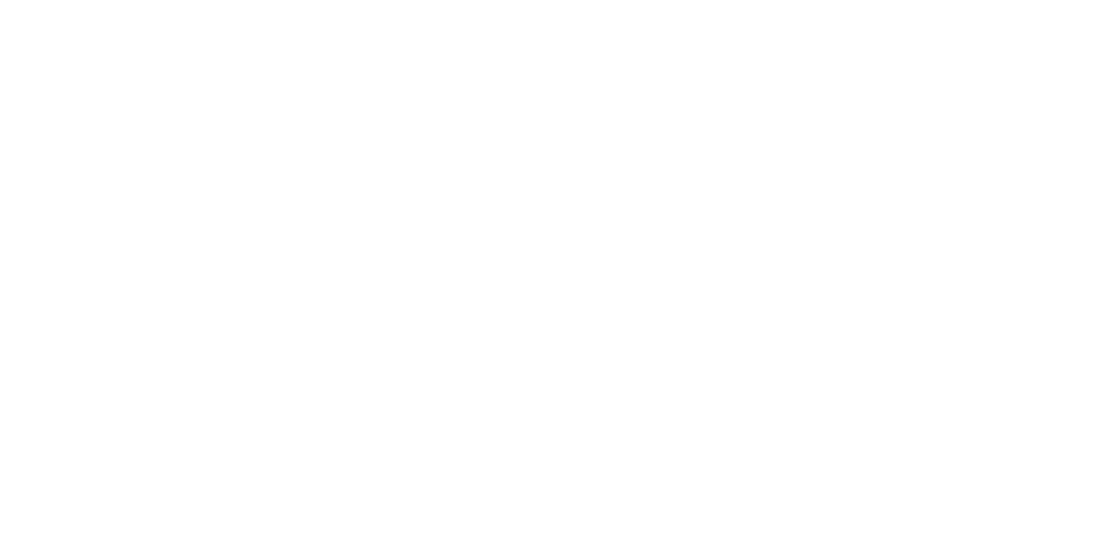 FLUXUS LLC
